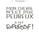 tasse mon cheval est expressif (face gauche)